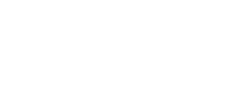 Partido Libertario de Chile