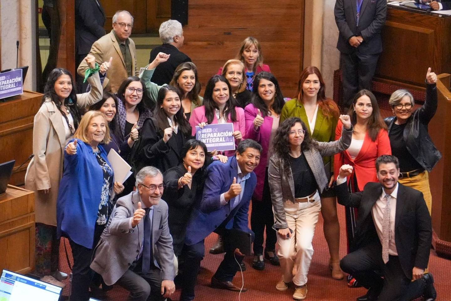 CRÍTICAS A LA LEY N° 21.565, QUE ESTABLECE UN RÉGIMEN DE PROTECCIÓN Y REPARACIÓN INTEGRAL EN FAVOR DE LAS VÍCTIMAS DE FEMICIDIO Y SUICIDIO FEMICIDA Y SUS FAMILIAS.